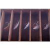 Image 10 : Antique Fly Fishing Lure Collection in Display The
