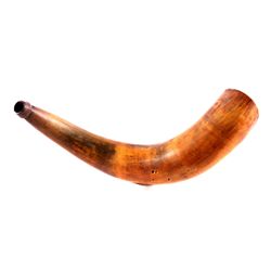 Antique Powder Horn This is an antique powder horn