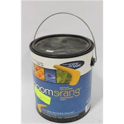 BRAND NEW PAINT, TERRACOTTA COLOR