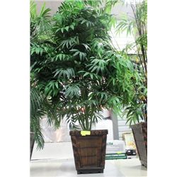 ARTIFICIAL PLANT ON CHOICE