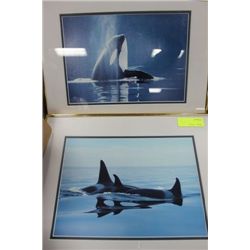 SET OF 2 - ORCA KILLER WHALES FRAMED PICTURES
