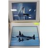 Image 1 : SET OF 2 - ORCA KILLER WHALES FRAMED PICTURES
