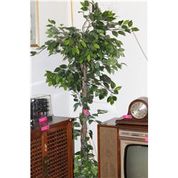 Imitation fig tree - 6'