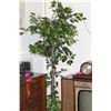 Image 1 : Imitation fig tree - 6'