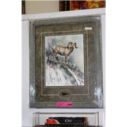 Framed print "South Slope Bighorns"