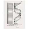 Image 1 : DNA: Watson and Crick