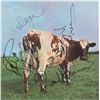 Image 1 : Pink Floyd