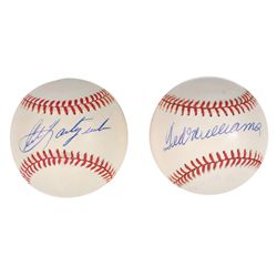 Ted Williams and Carl Yastrzemski