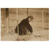 Image 2 : Orville Wright