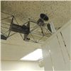 Image 7 : International Space Station Model