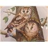 Image 34 : 1980 The Edward Marshall Boehm Owl Collection