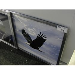 FRAMED PRINT ``EAGLE SOARING``