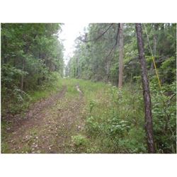 LOT 32 BLOCK 2, MAGNOLIA LANDING SUBDIVISION, N/S BAUDIN LANE, FOLEY, AL. THIS IS A PRIVATE ROAD FOR