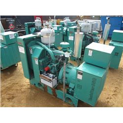 ONAN TECHSTAR 35G GENERATOR SET, S/N C910374691, LP GAS, METER READING 127 HRS