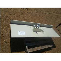 BATHROOM SINK W/ COUNTER TOP