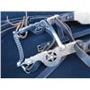 Image 3 : Silver Bit Bridle & Reins
