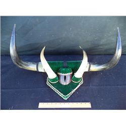 Bull Horns with Hoof