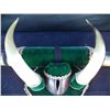Image 2 : Bull Horns with Hoof
