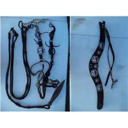 Hand Braided Split Reins, Silver Bit & Bridle,
