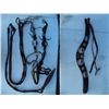 Image 1 : Hand Braided Split Reins, Silver Bit & Bridle,