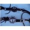Image 3 : Hand Braided Split Reins, Silver Bit & Bridle,