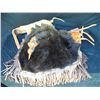 Image 1 : Buffalo Hide Chinks Accented with Silver Conchos
