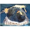 Image 3 : Buffalo Hide Chinks Accented with Silver Conchos