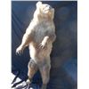 Image 1 : Large Antique Alaskan Standing Grizzly Bear Mount