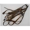 Image 1 : Leather Halter & Reins