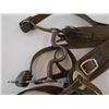 Image 2 : Leather Halter & Reins