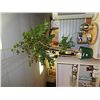 Image 1 : ARTIFICIAL PLANT