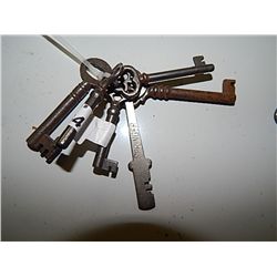 BUNDLE OF SKELTON KEYS