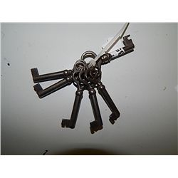 BUNDLE OF SKELTON KEYS