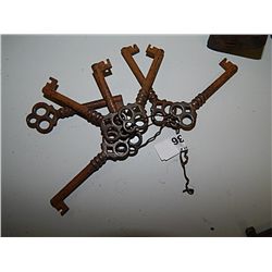 BUNDLE OF SKELTON KEYS