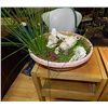 Image 2 : CERAMIC POT AND PLANT