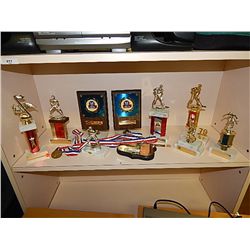 LOT OF ASSORTED HOCKEY TROPHIES AND OTHERS
