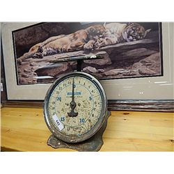 VINTAGE SCALE