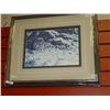 Image 1 : FRAMED LIMITED EDITION PRINT - SNOW CUB - ALLAN HUNT - GALLERY PRICE APPROX. $250