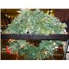 Image 1 : CHRISTMAS WREATH