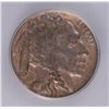 Image 2 : 1914-D BUFFALO NICKEL ICG VF-35