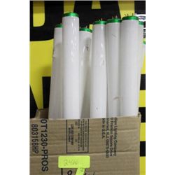 BOX OF FLUORESCENT LIGHTS