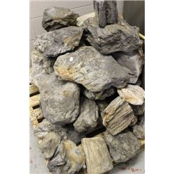 LARGE PIECE OF PETRIFIED WOOD AS THEY COME