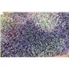 Image 1 : SHOWHOME 4 X 6 PURPLE SHAG CARPET