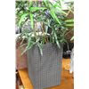Image 1 : SHOWHOME ARTIFICIAL PLANT