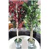 Image 1 : PAIR OF SHOWHOME ARTIFICIAL PLANTS