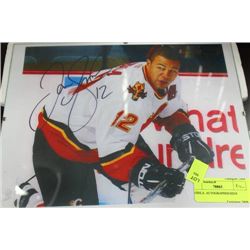 J.IGINLA  AUTOGRAPHED 8X10
