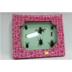 FRAMED 8 PC BEETLE SET AS THEY COME