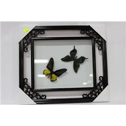 FRAMED 2 PC BUTTERFLY PICTURE AS THEY COME