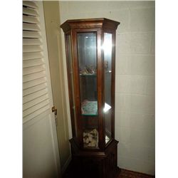 Tall narrow display cabinet with lights. Glass shelves