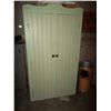Image 1 : Pine Armoire Painted green